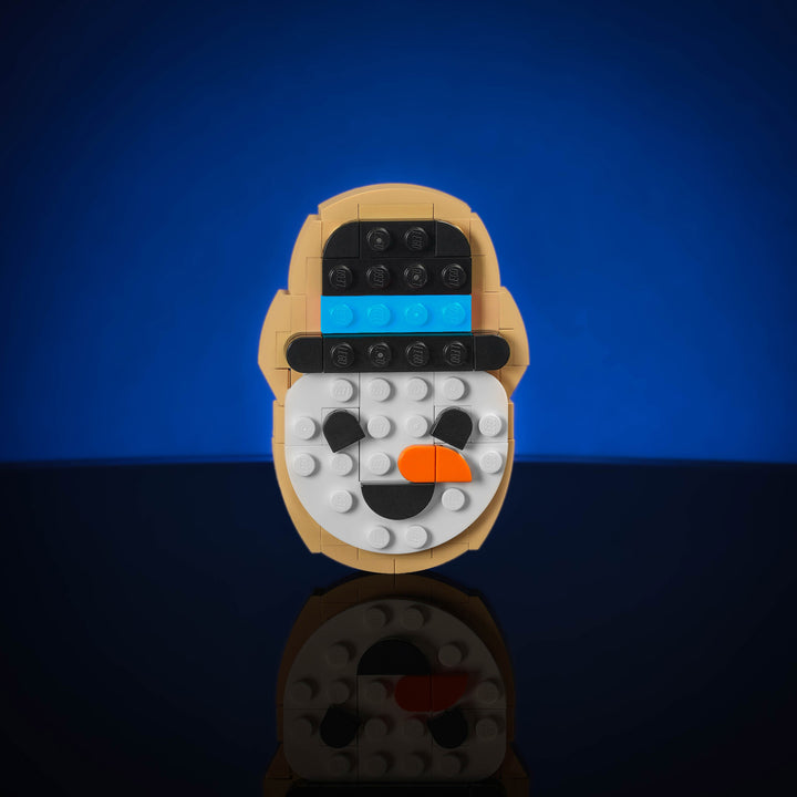 Ornements de biscuits au sucre